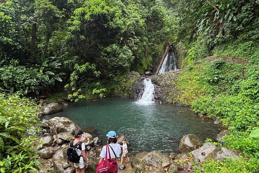 Grenada’s Best: Waterfalls, Chocolate, Rum and Rainforest Tour 1