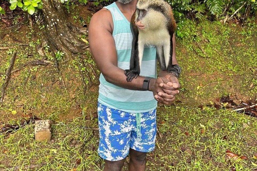 Grenada’s Best: Waterfalls, Chocolate, Rum and Rainforest Tour 3