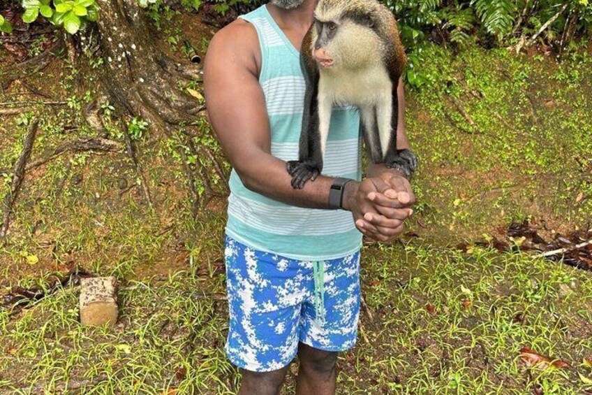 Grenada’s Best: Waterfalls, Chocolate, Rum and Rainforest Tour 4
