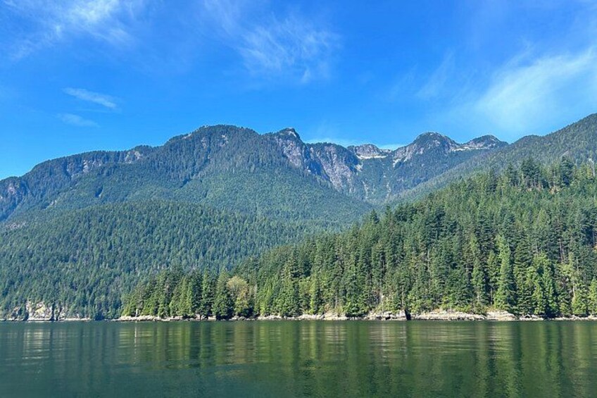 A mountain range, a lake, and dense forest. 5