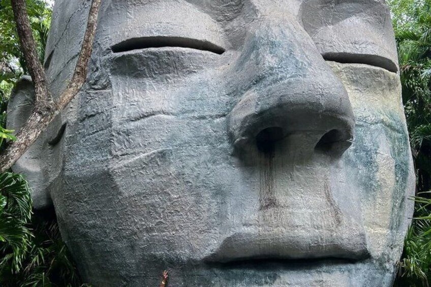 A large stone face sculpture surrounded by greenery. 4