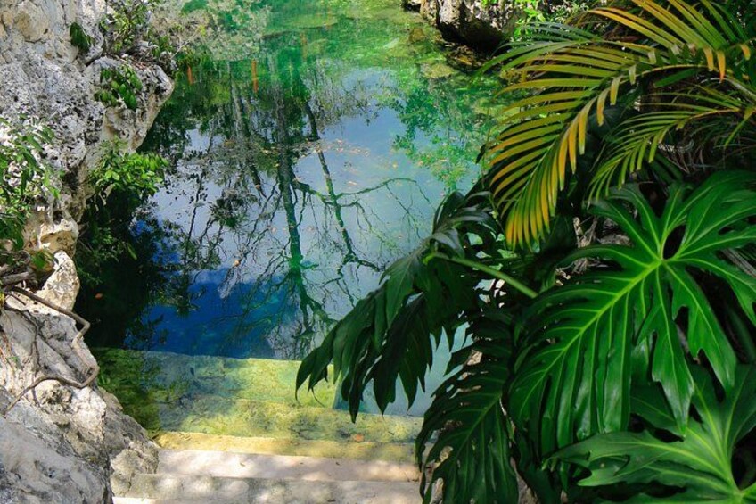 A tropical pond surrounded by lush greenery and rocky terrain. 5