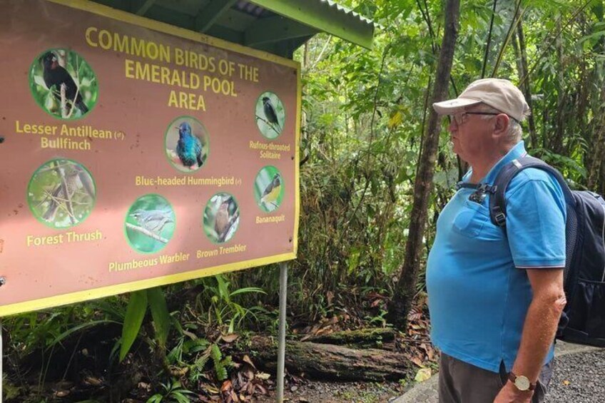 A man standing next to a sign listing common birds of the Emerald Pool Area. 2