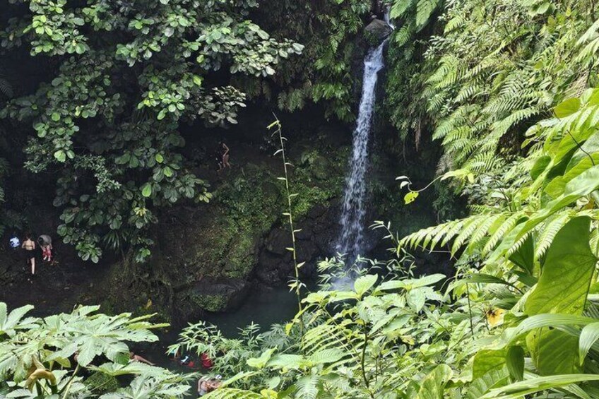 A waterfall surrounded by dense greenery. 3