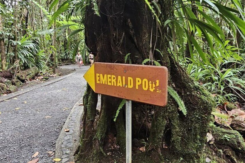 A signpost with 'Emerald Pool' written on it, surrounded by lush greenery and a path. 4