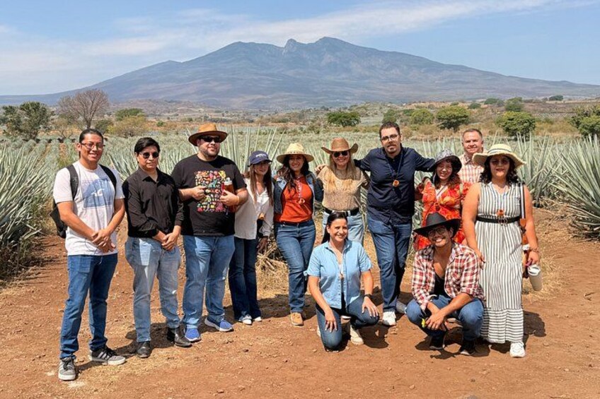 Tequila and agave and tasting fields 2
