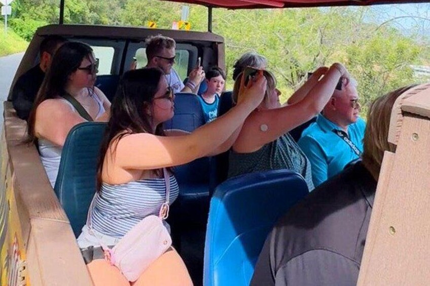 People in a vehicle, some taking photos. 2