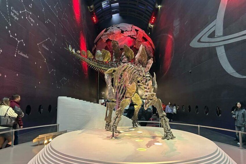 A dinosaur skeleton exhibit in a museum with a large red globe in the background. 5