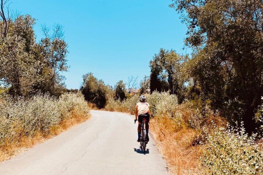 Lagos: Gravel Bike Tour with Local Guide 1