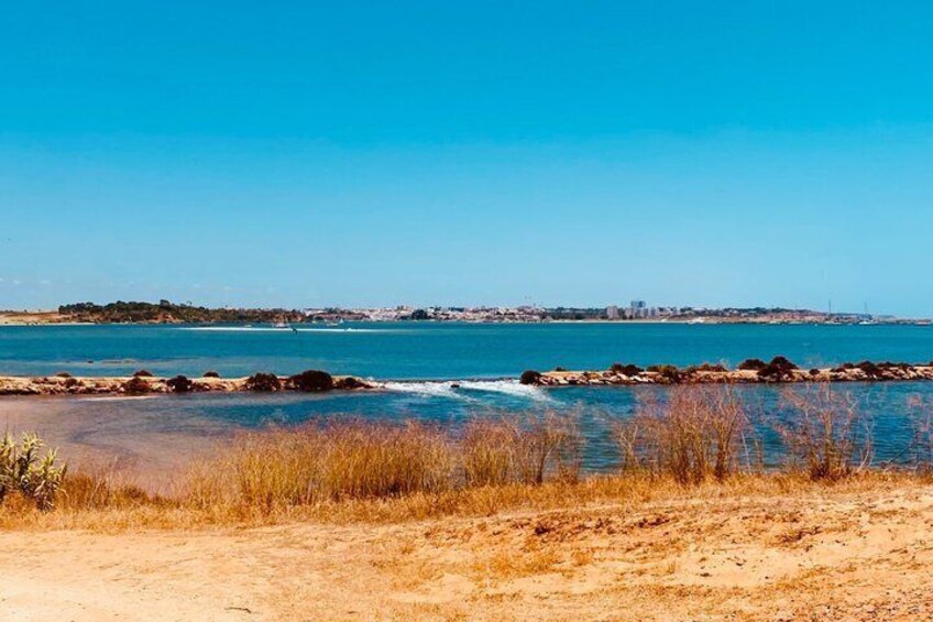 Lagos Gravel Bike Tour: Explore Algarve Coastal Beauty 2