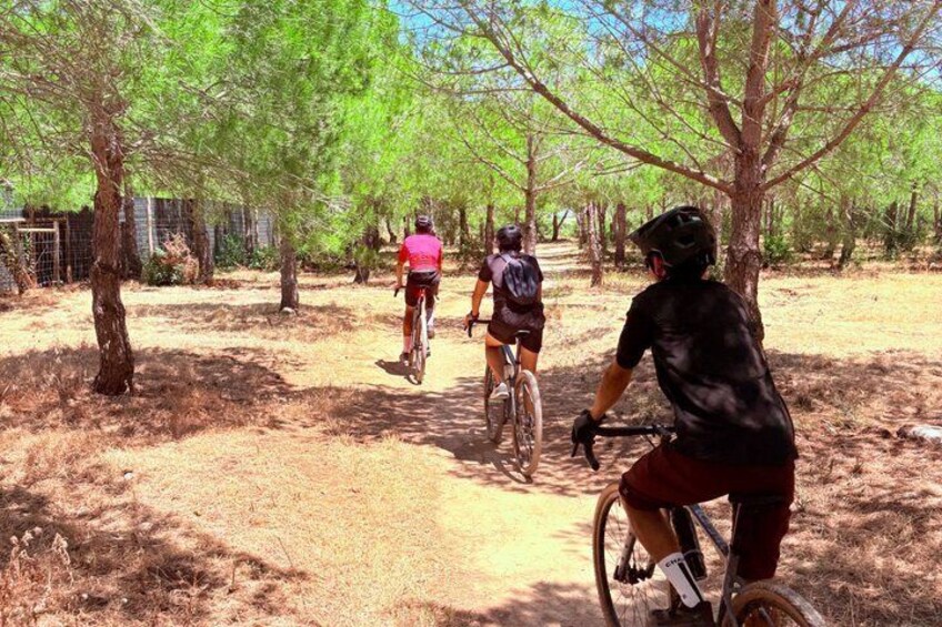 Lagos Gravel Bike Tour: Explore Algarve Coastal Beauty 2