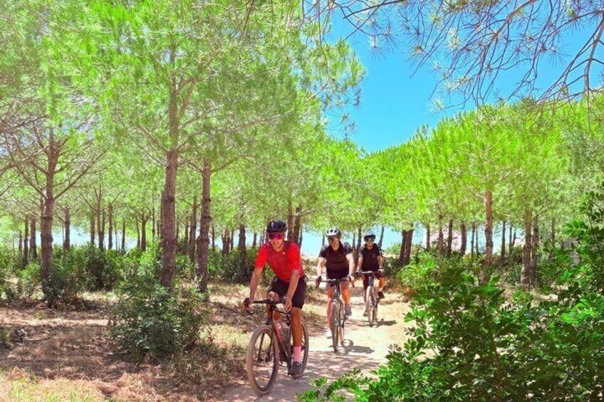 Lagos: Gravel Bike Tour with Local Guide 2