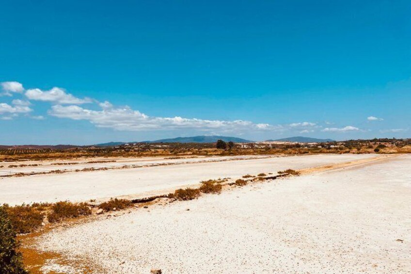 Lagos Gravel Bike Tour: Explore Algarve Coastal Beauty 4