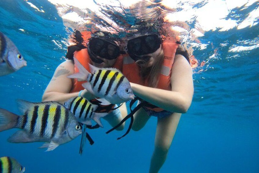 A person underwater with fish, wearing a life jacket and snorkel. 5