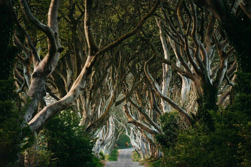 Game of Thrones North Antrim Coast Tour 1