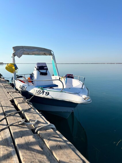 Picture 5 for Activity Djerba: Private Speedboat, Swimming in the Turquoise Sea, and Exploring the Coast 4