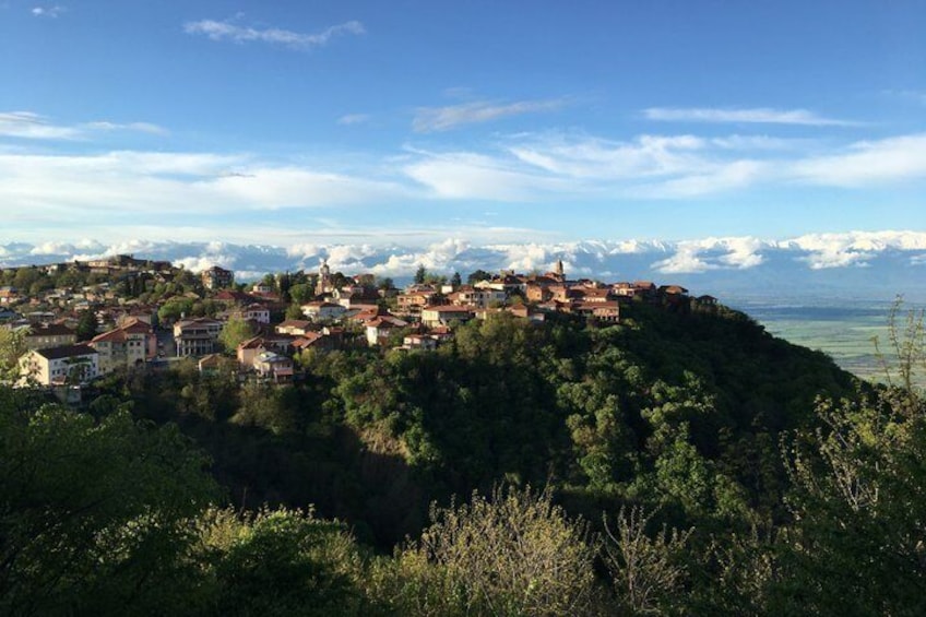 A hillside village with buildings, trees, and a mountain range in the background. 1