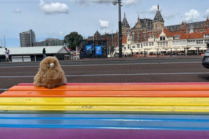A fluffy brown dog sitting on a rainbow-colored bench with a historic building in the background. 3
