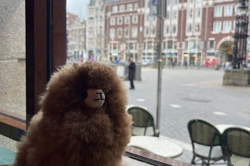 A stuffed animal by a window overlooking a street with buildings and chairs. 5