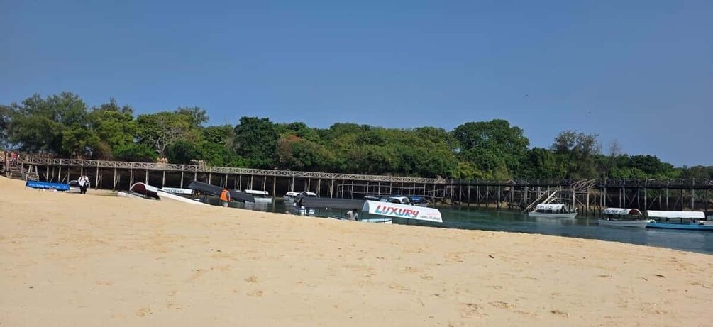 Picture 10 for Activity Zanzibar: Nakupenda Sandbank & Prison Island with Transfers 5
