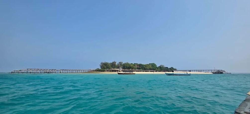 Picture 13 for Activity Zanzibar: Nakupenda Sandbank & Prison Island with Transfers 4