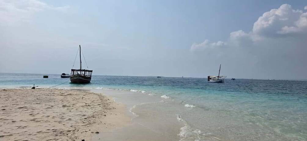 Picture 15 for Activity Zanzibar: Nakupenda Sandbank & Prison Island with Transfers 3