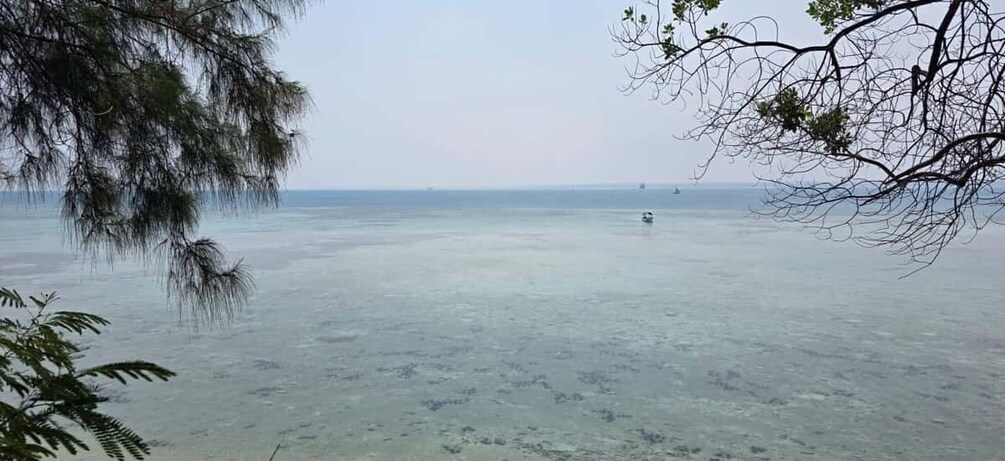Picture 16 for Activity Zanzibar: Nakupenda Sandbank & Prison Island with Transfers 2