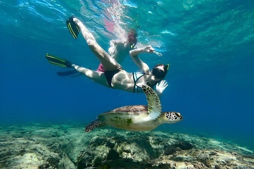 A person snorkeling underwater with a sea turtle. 1