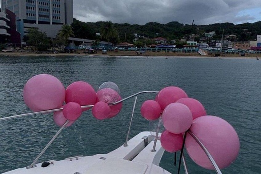 A boat with pink balloons tied to the railing, a body of water, and a distant shoreline with buildings and hills. 5