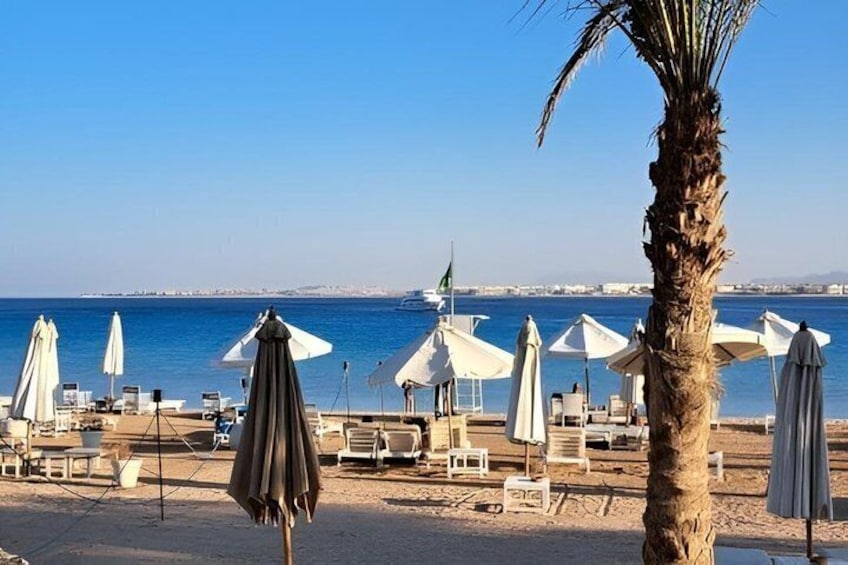 A beach with umbrellas and lounge chairs, a palm tree, and a clear blue sea. 4