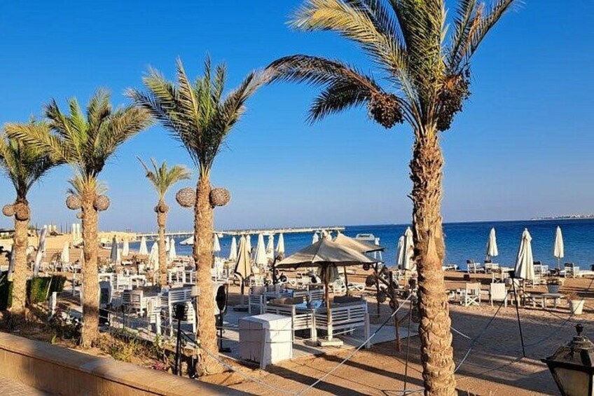 A beachside resort with palm trees, umbrellas, and lounge chairs. 5