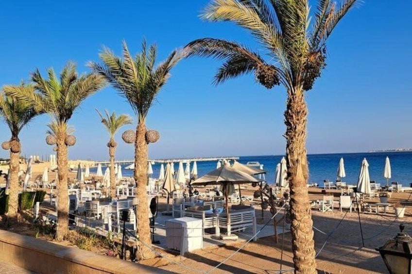 A beachside resort with palm trees, sun loungers, umbrellas, and a clear blue sky. 5