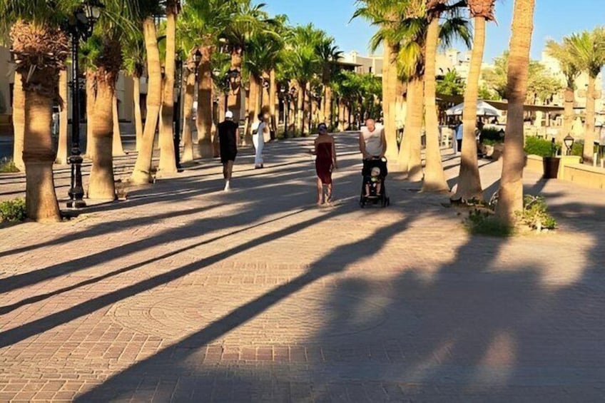 A paved walkway lined with palm trees and people walking. 2