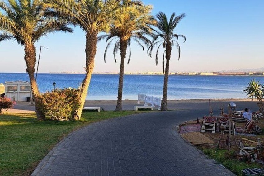 A paved pathway leading to a beach with palm trees and a view of the sea. 1