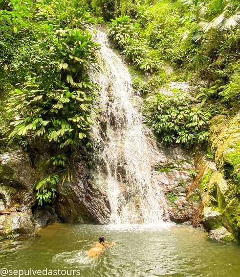 A waterfall in a lush green forest with a person swimming in the water below. 2
