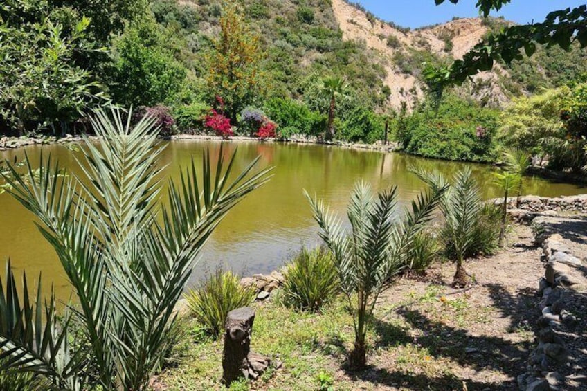 A pond surrounded by greenery and a rocky path. 4