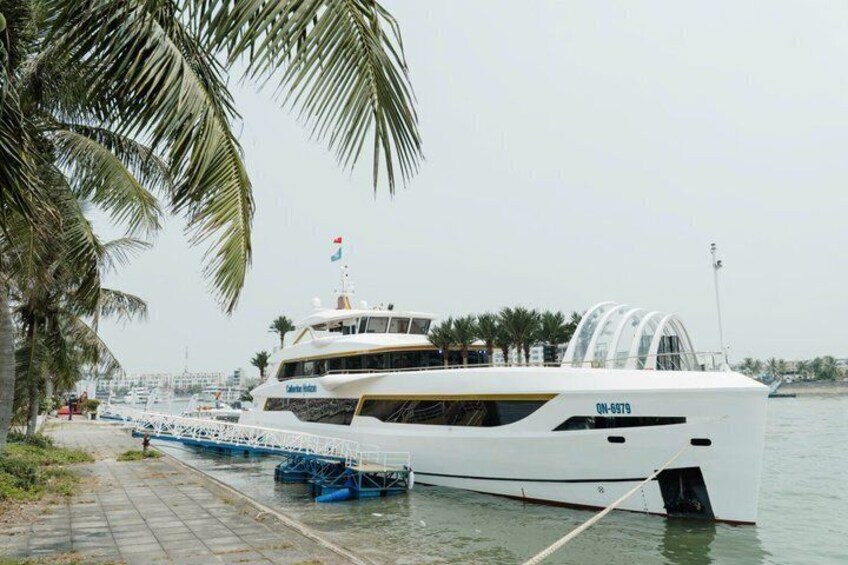 A large white yacht docked at a marina with palm trees and a clear sky in the background. 4