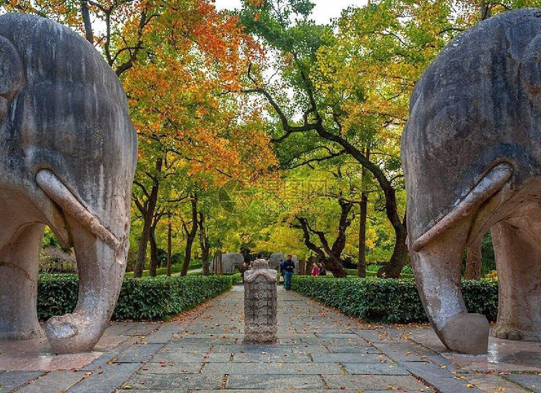 A pathway flanked by large stone elephant sculptures, leading through a park with autumn-colored trees. 5