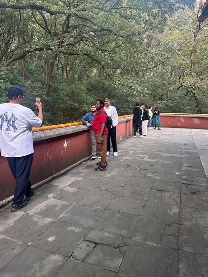 A group of people standing on a stone pathway with trees in the background. 4