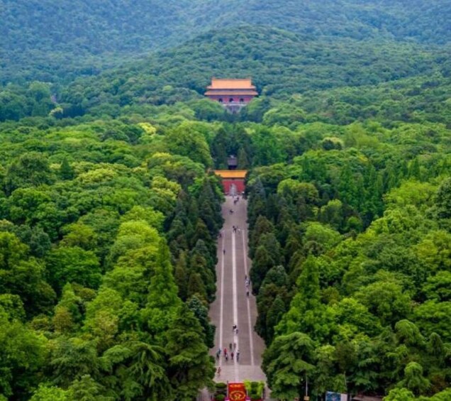 Picture 6 for Activity Half day Tour Purple Mountain and Ming Tomb - World Heritage 2