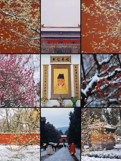 A traditional building with a tiled roof, cherry blossoms, and a framed portrait. 3