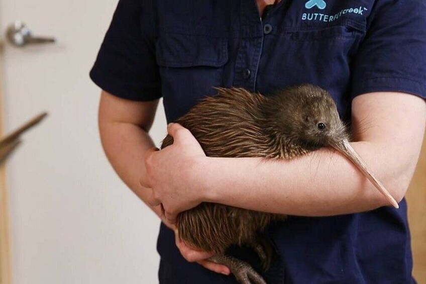 A person holding a bird. 2