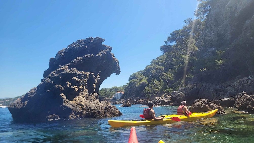 Kayakers on a calm sea with a large rock formation and trees in the background. 3