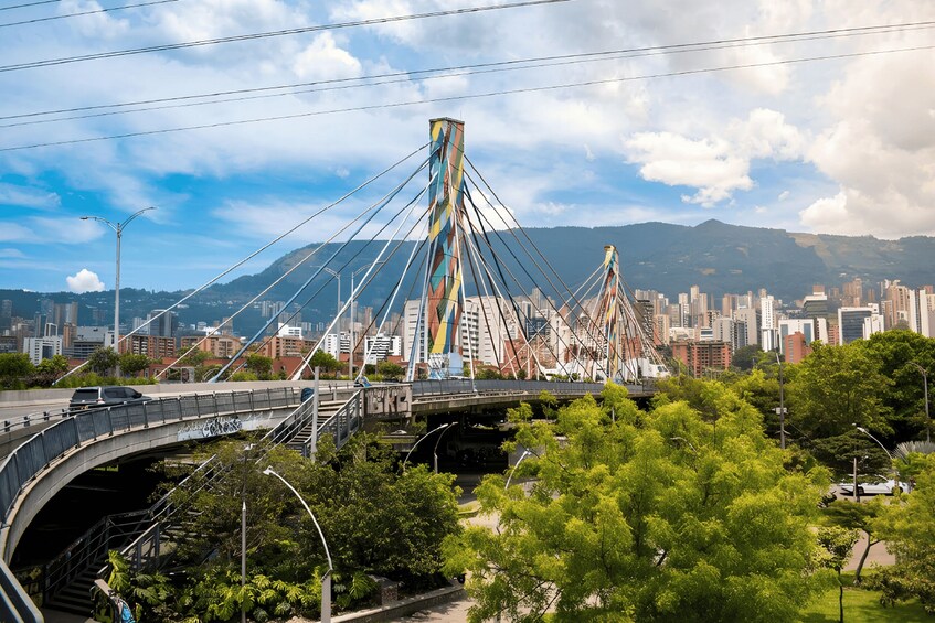 A cable-stayed bridge with a cityscape in the background. 5