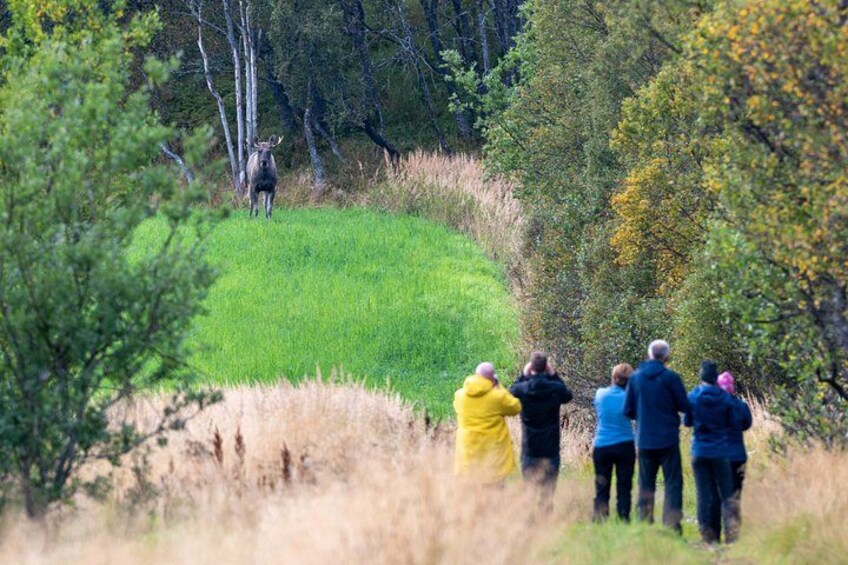 A group of people observing wildlife in a natural setting. 2
