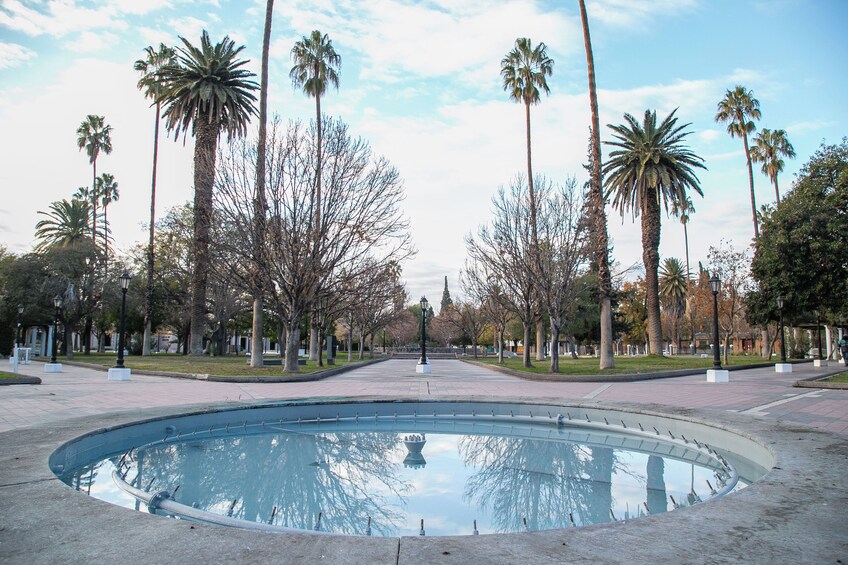 Half-Day Mendoza Sightseeing Tour 1