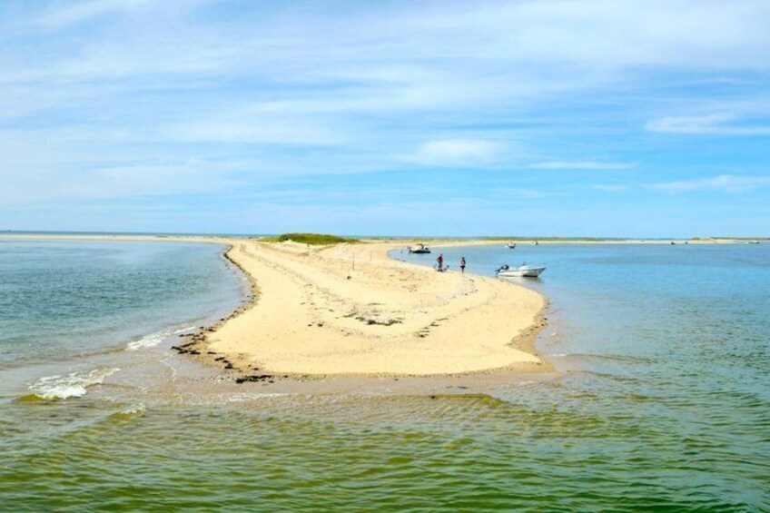A sandy beach with boats and people. 5