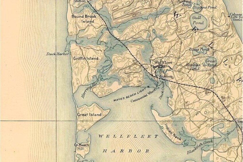 A detailed topographic map of a coastal area with features like Gull Pond, Great Island, and Wellfleet Harbor. 4
