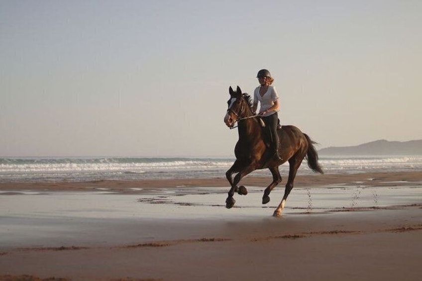 Luxury Private Day Trip to Essaouira From Marrakech 3
