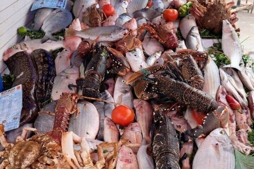 Luxury Private Day Trip to Essaouira From Marrakech 2
